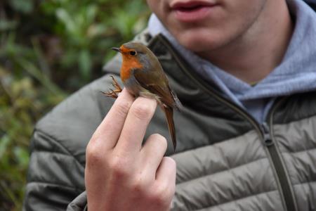 Obrockanje Zdravci 1